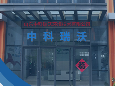 Company Profile